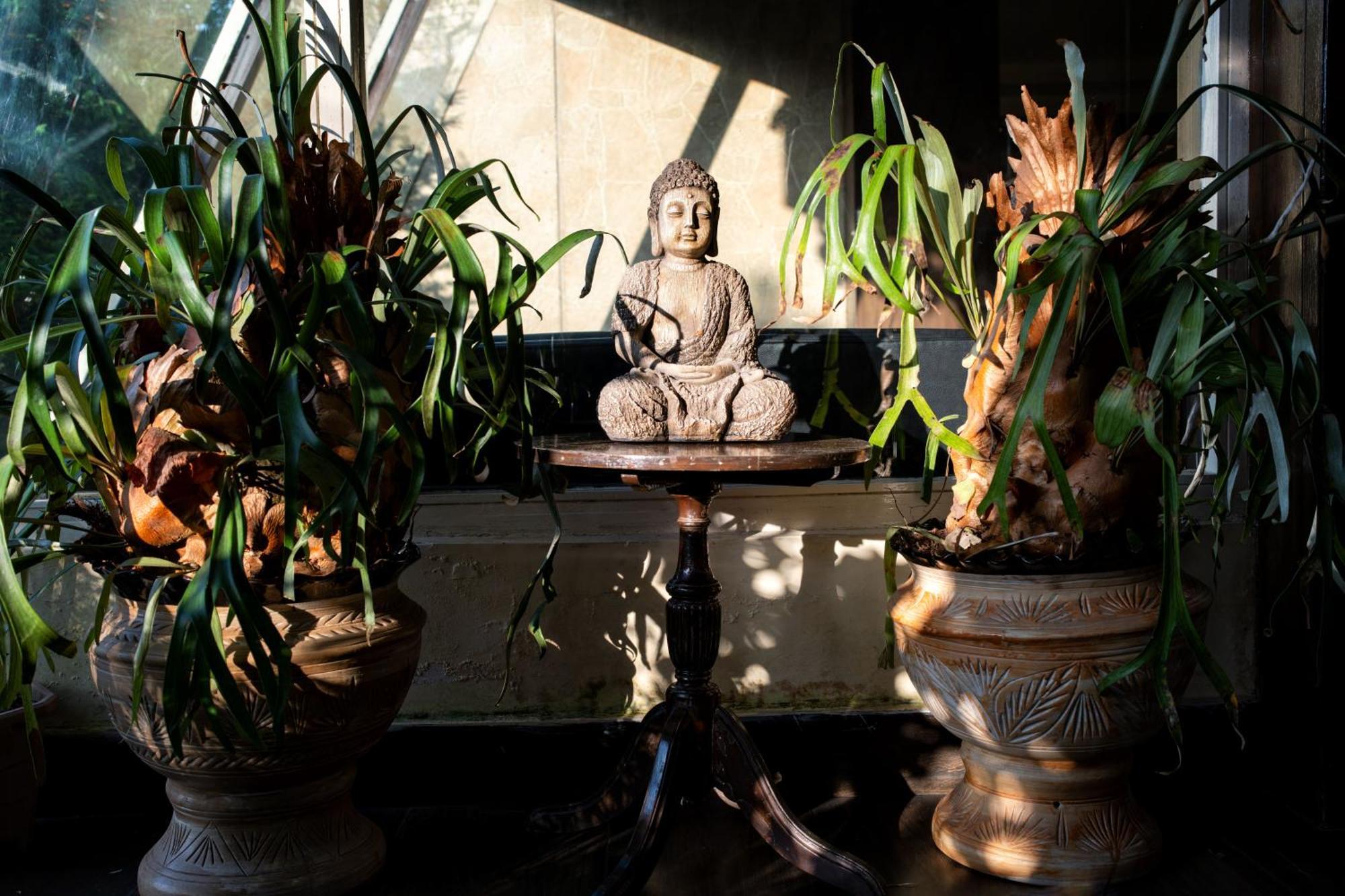 Hotel Viceroy Darjeeling  Dış mekan fotoğraf